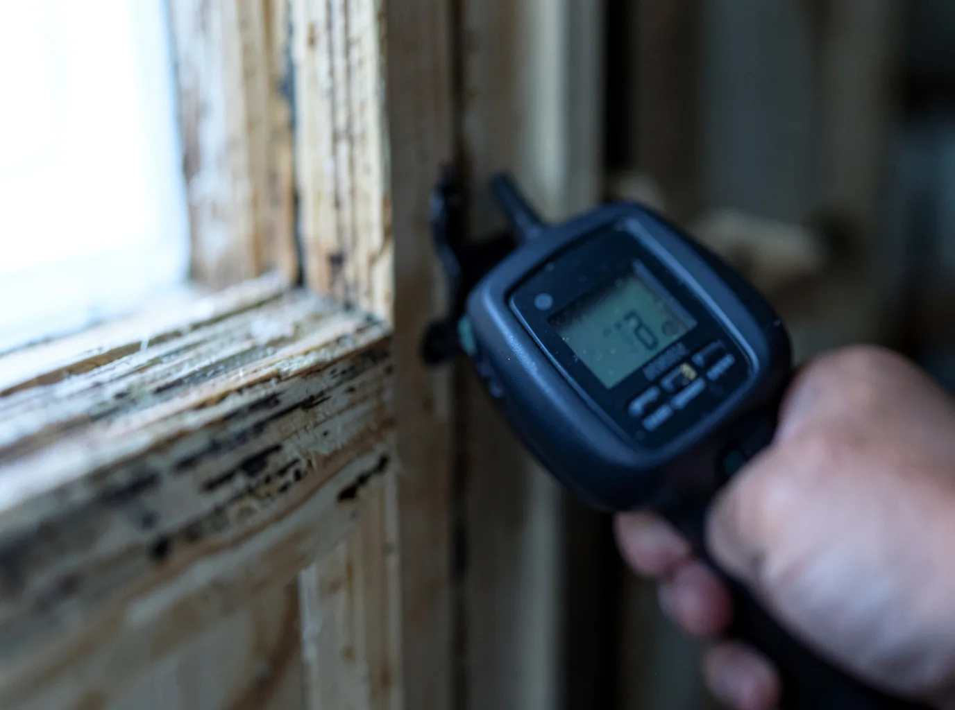 Moisture Inspection And Documentation in Deweyville, UT